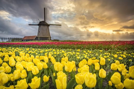 noces Pays-Bas